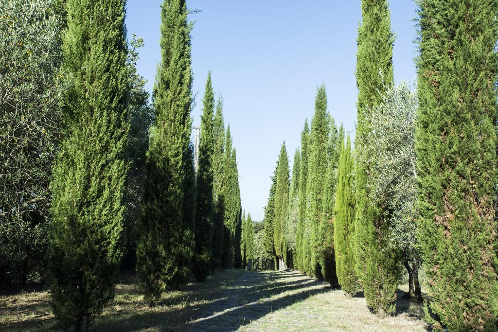 מלון רפולאנו טרמה Casale Degli Ulivi מראה חיצוני תמונה